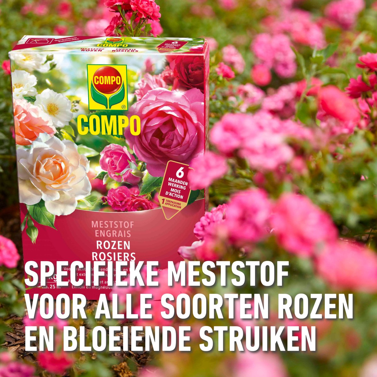Compo rozen meststof - 2kg
