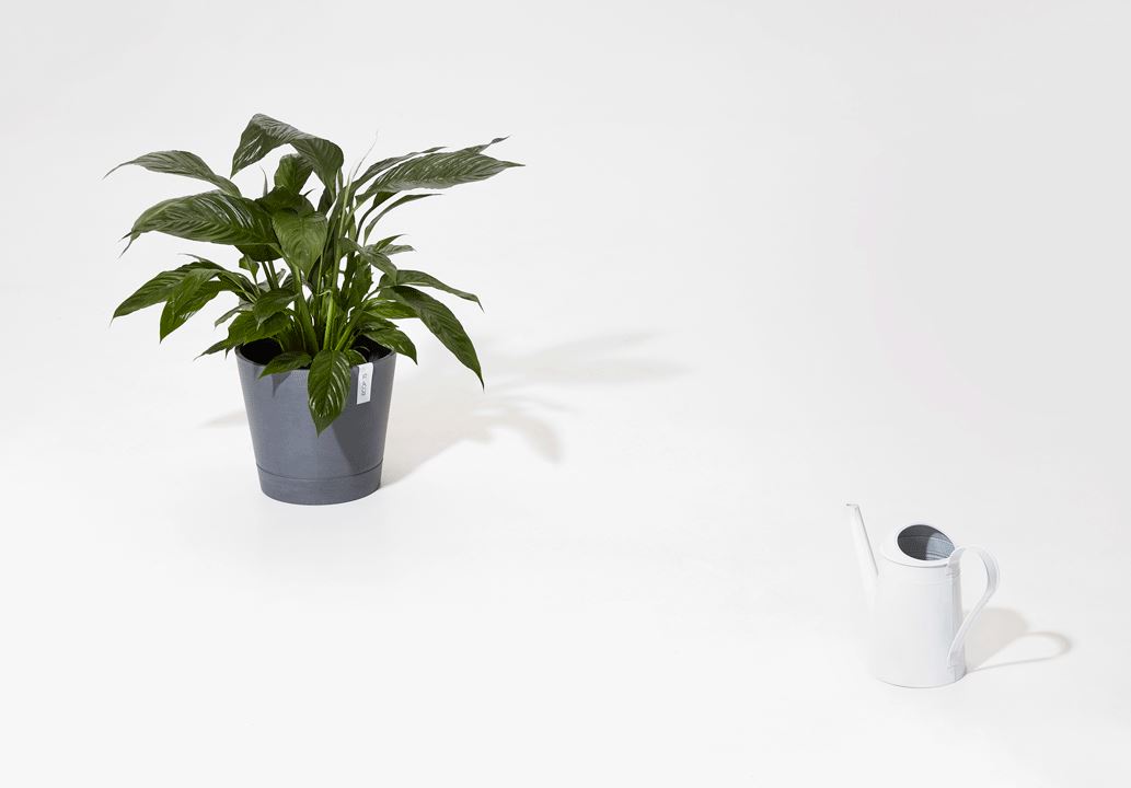 Ecopots-venice-2-pure-white-20-cm-H17-5-cm-incl-waterreservoir