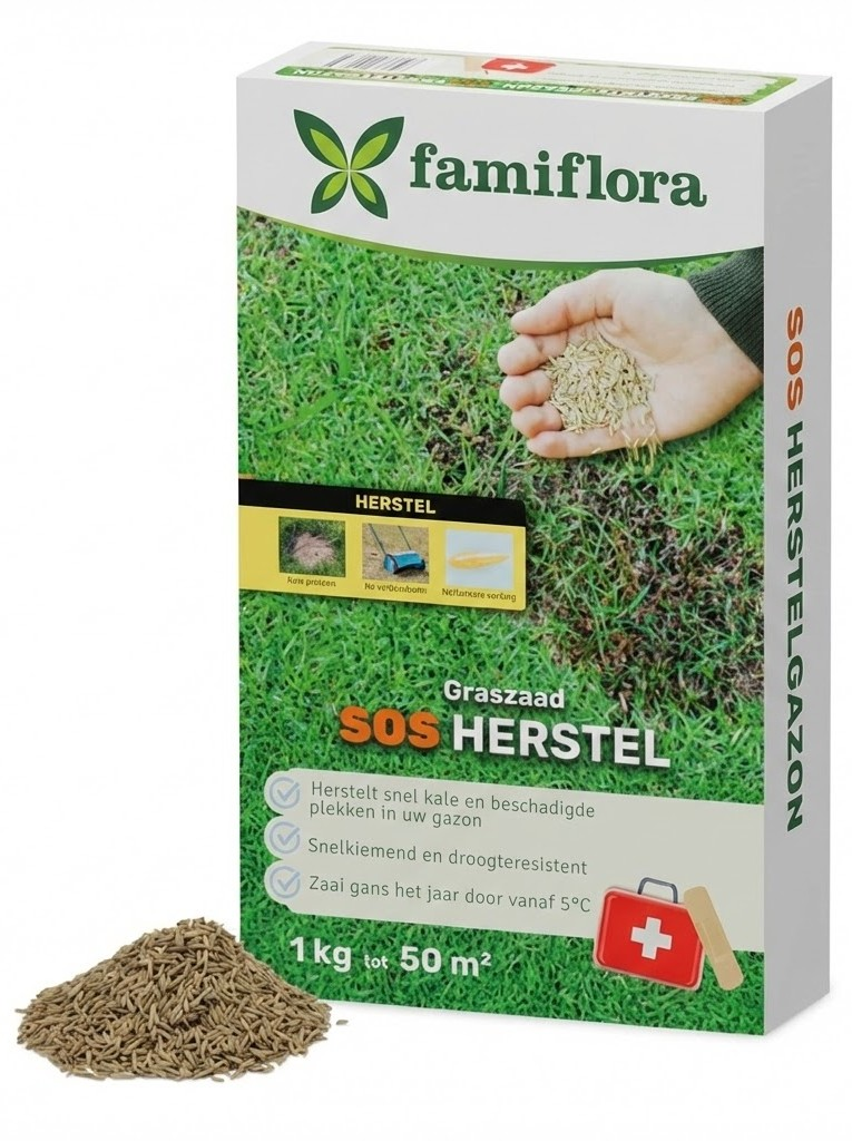 Famiflora graine de gazon 1kg jusqu'à 50m² - SOS gazon de réparation - réparation rapide des zones dégarnies