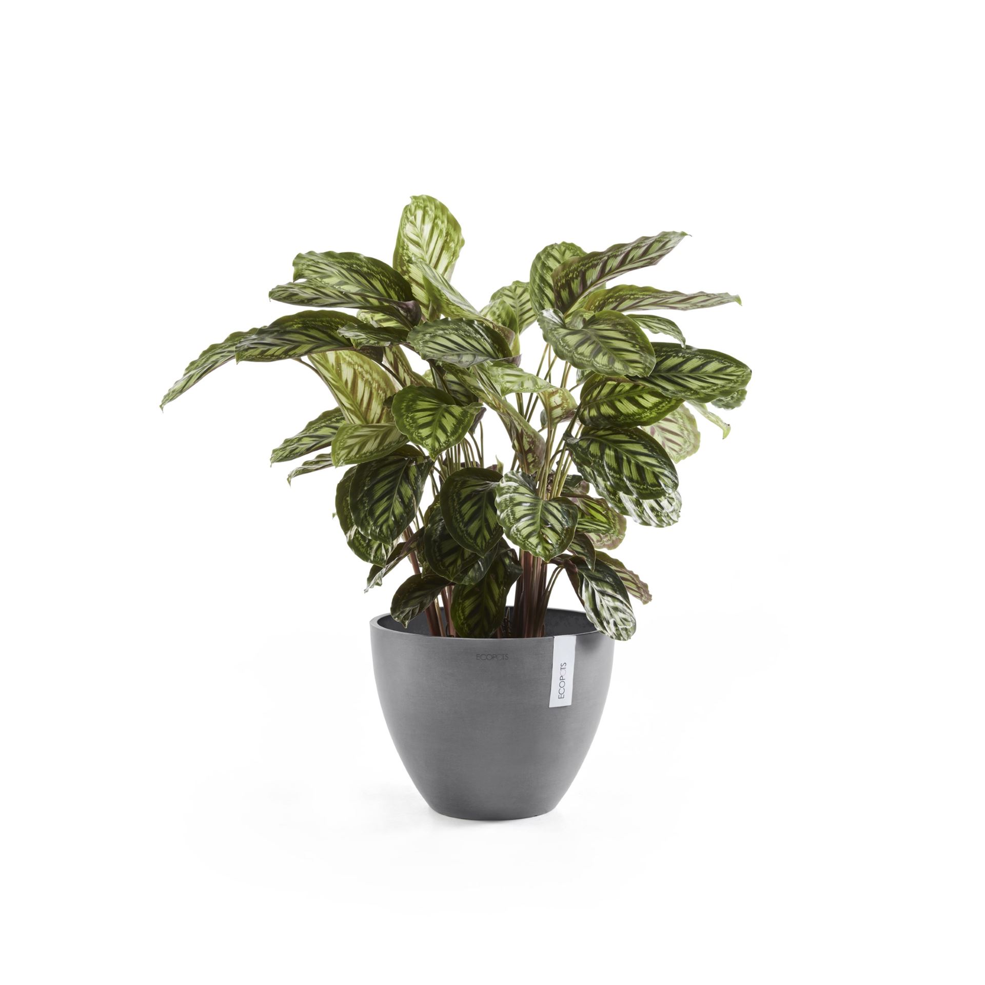 Ecopots-antwerp-grey-40-cm-H30-cm