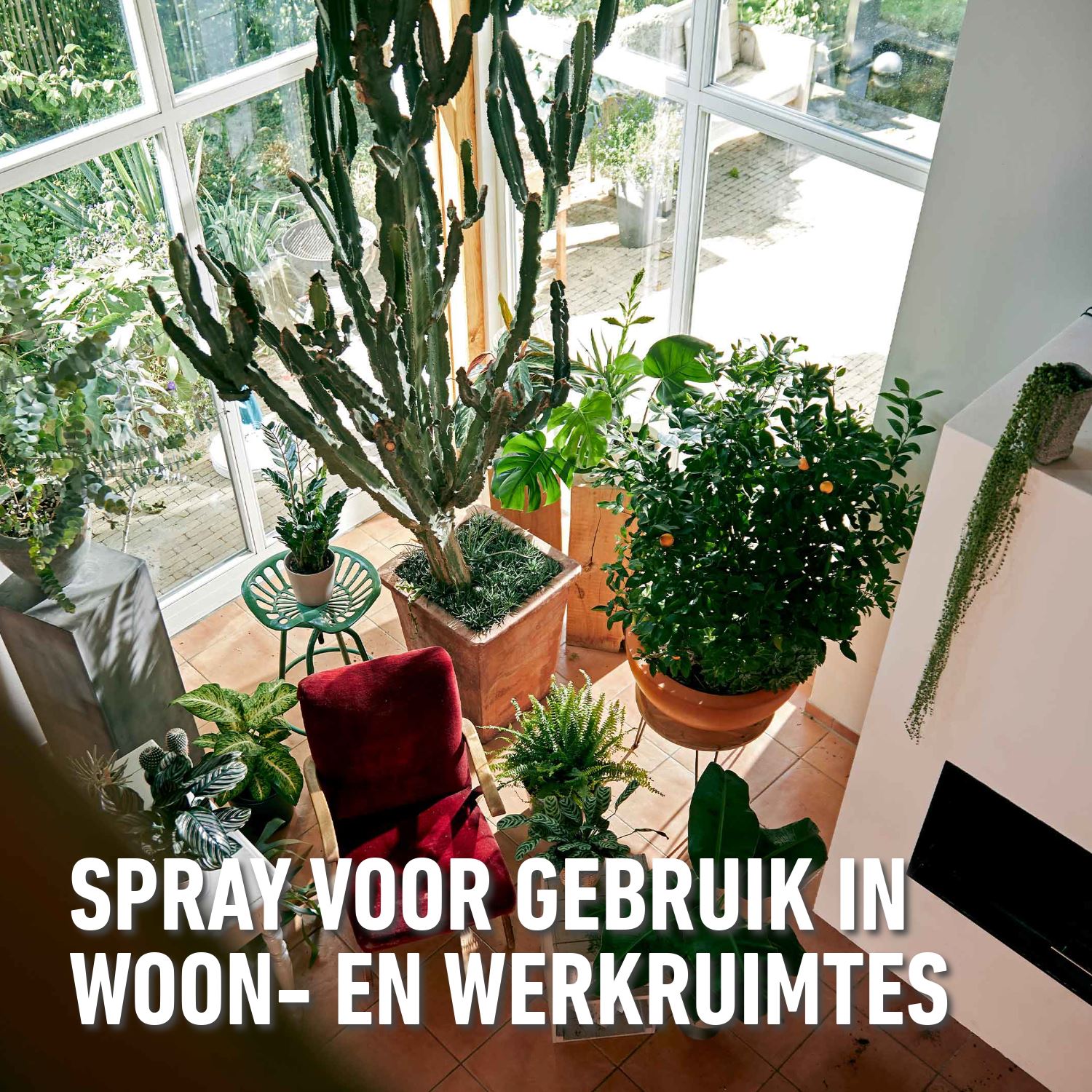 Barriere-insect-k-o-spray-kruipende-insecten-300ml