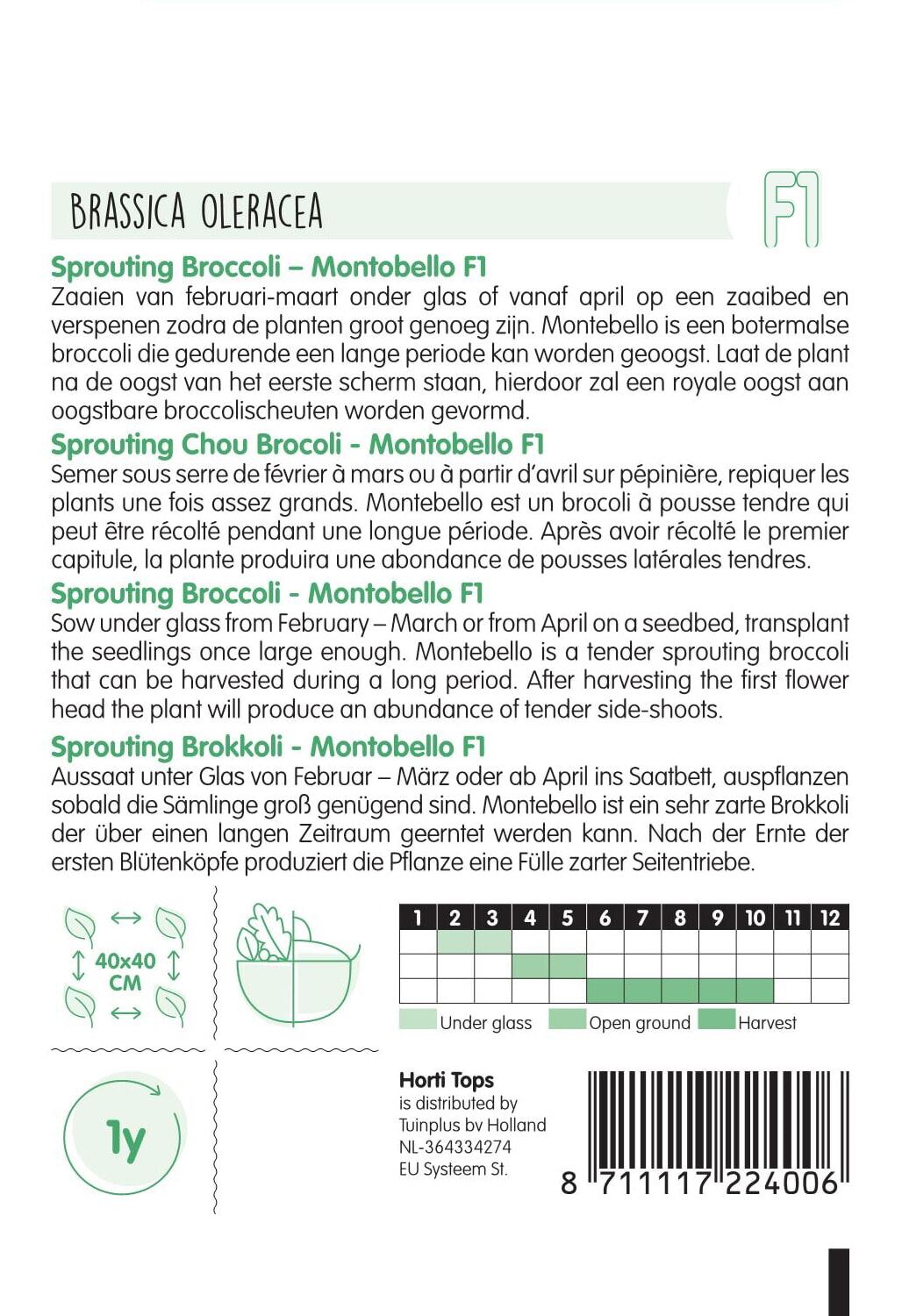 HT-Sprouting-Broccoli-Montobello-F1