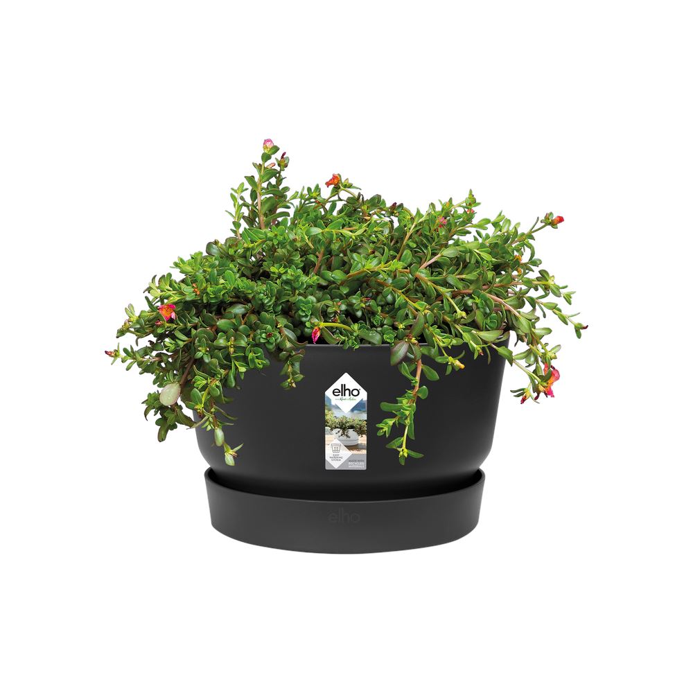 schaal-Greenville-rond-33cm-living-black