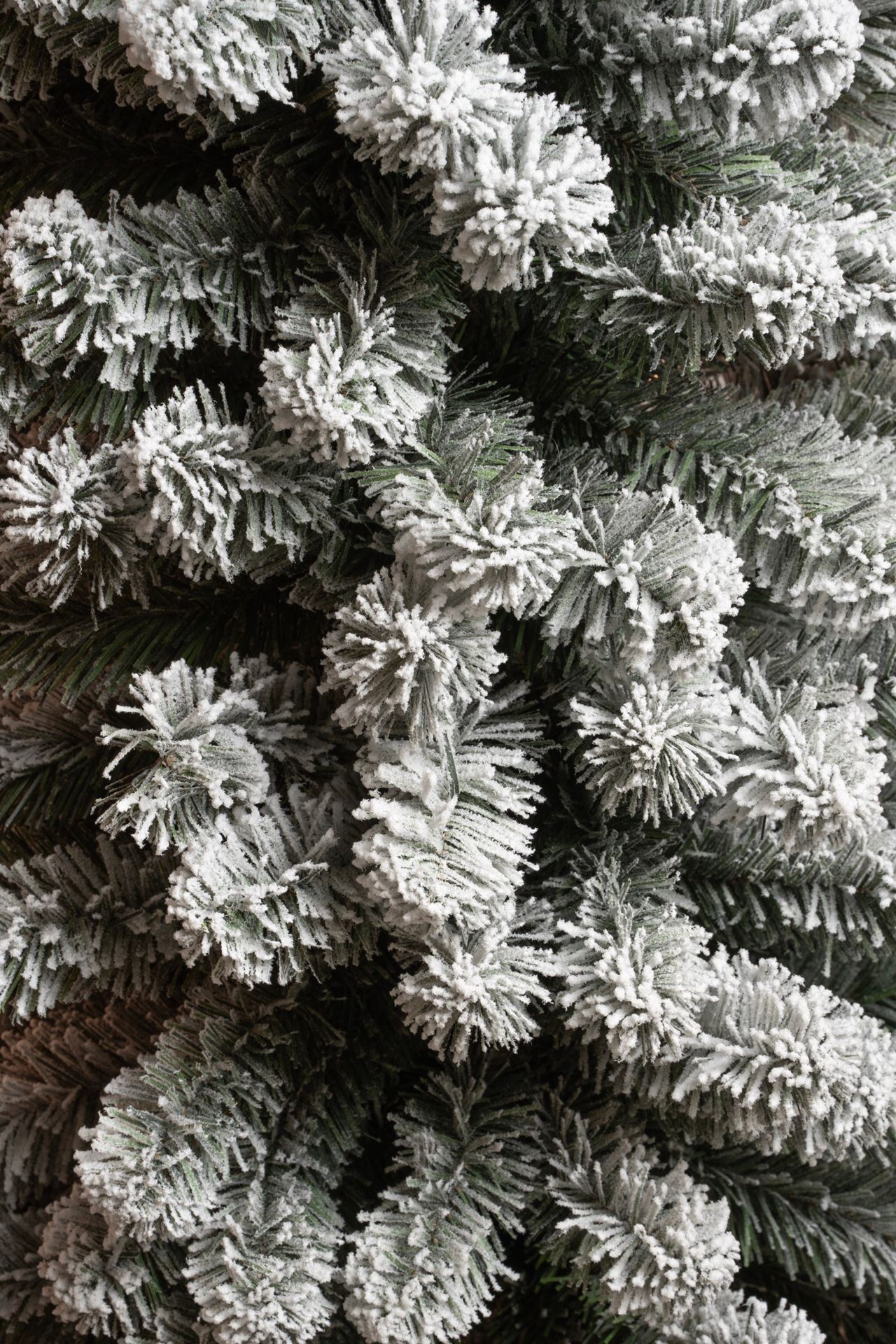 Kerstboom-Charlton-Pilar-D48xH155cm-frosted-groen