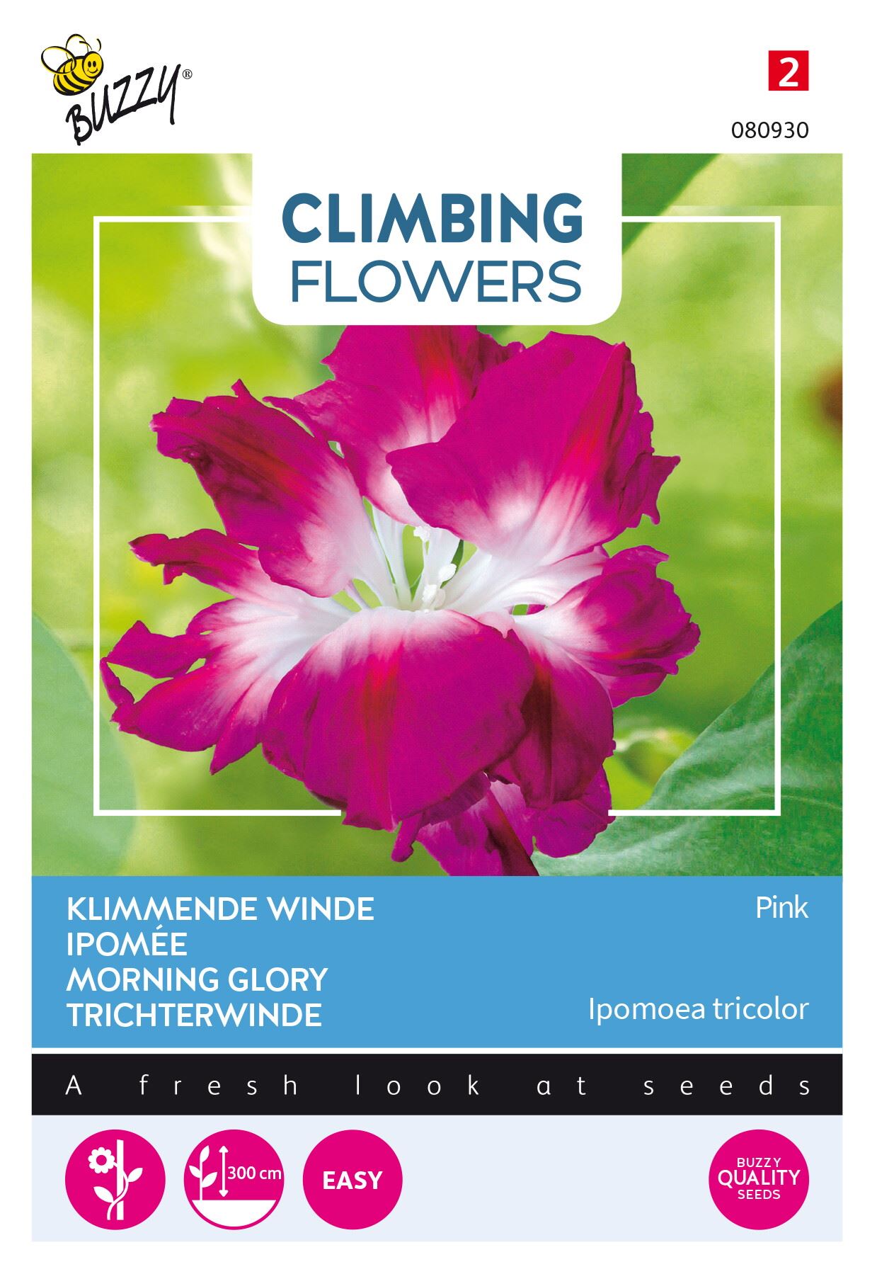 Buzzy-Flowering-Climbers-Ipomoea-Dubbel-Rose