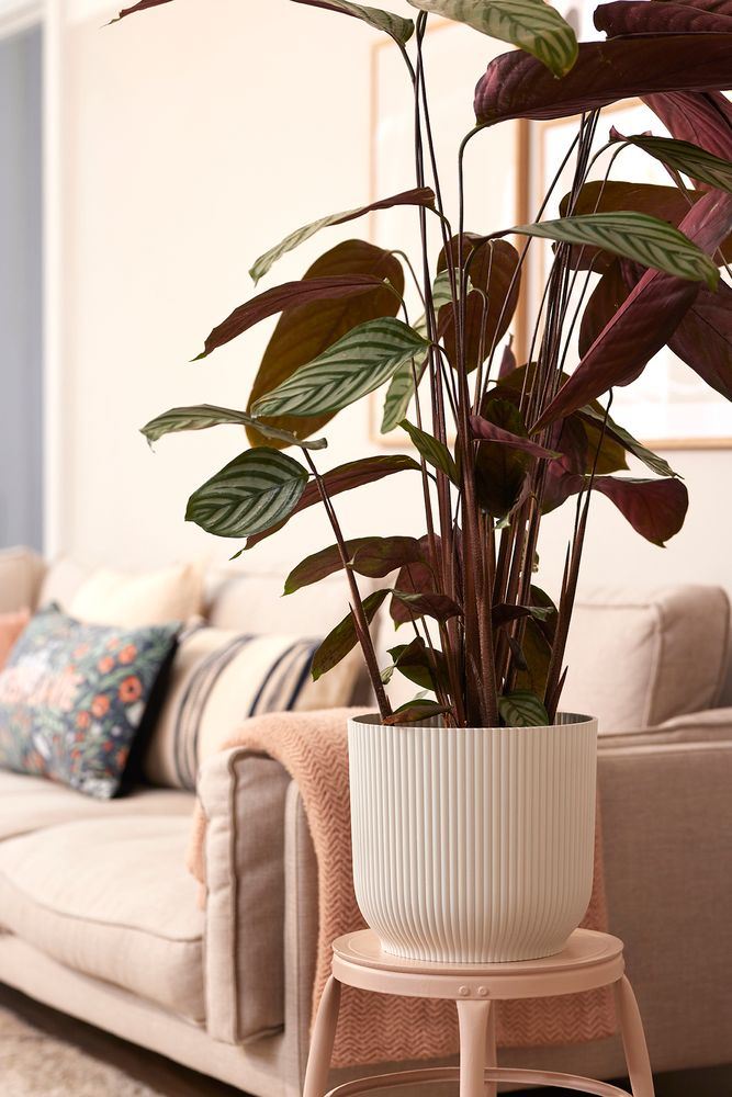 Bloempot-vibes-fold-rond-wielen-35cm-zijdewit