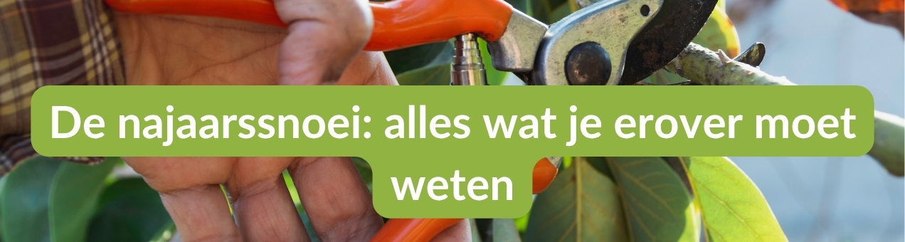 Roestvrijstalen doucherek, boren niet nodig Badkamerrek met 3 niveaus Roestvrijstalen doucherek, boren niet nodig Badkamerrek met 3 niveaus