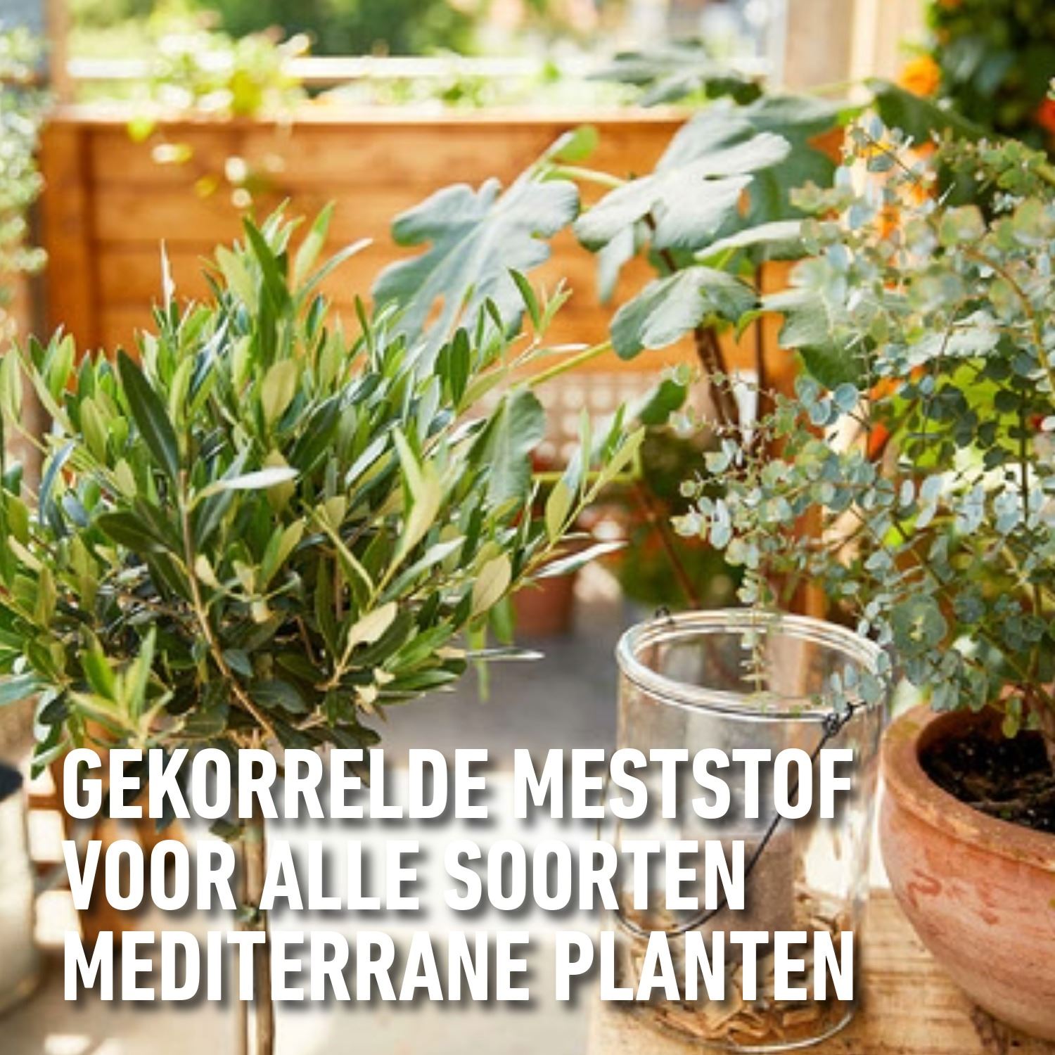 Mestsof-Mediterrane-Planten-2KG