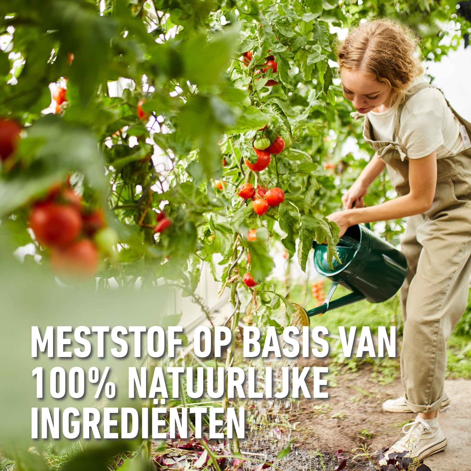 Compo-bio-vloeibare-meststof-tomaten-1L