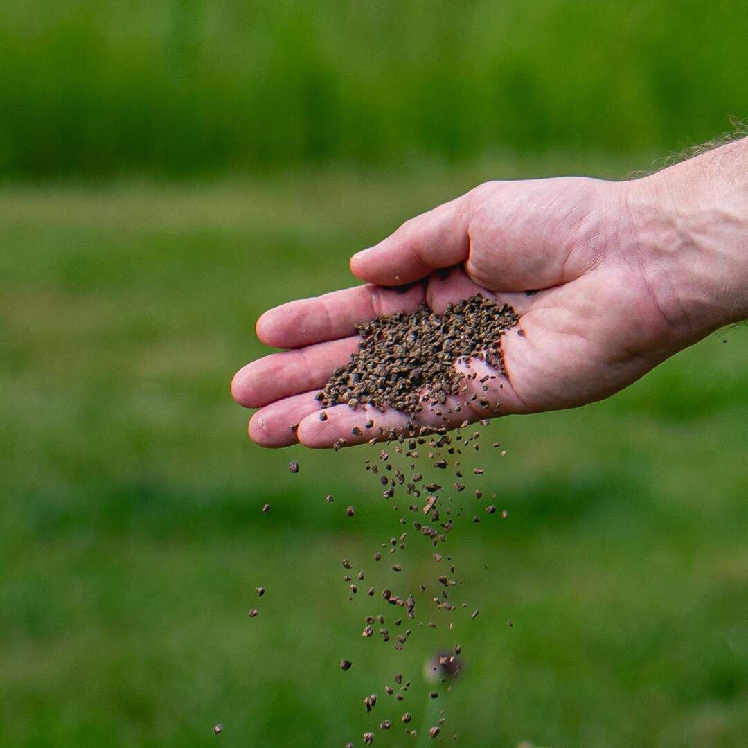Gazon-AZ-Najaar-2-kg
