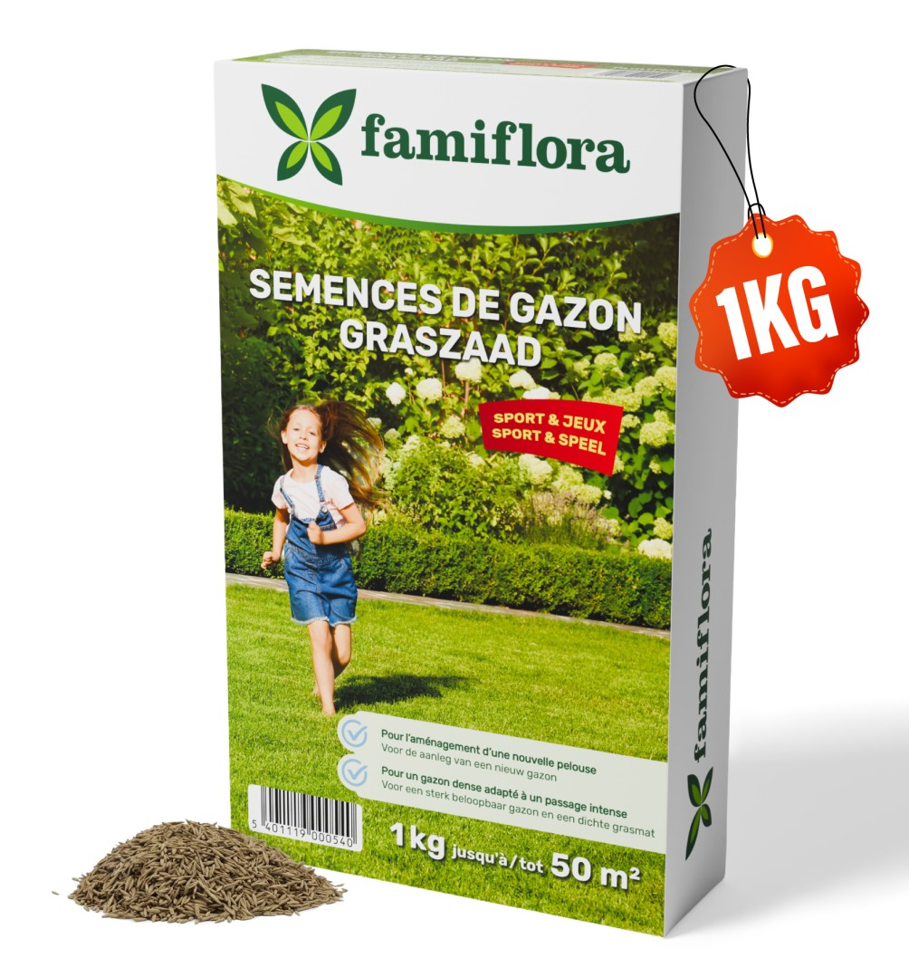 Famiflora grass seed Play & Sport - for establishing new lawn - 1kg up to 50m²