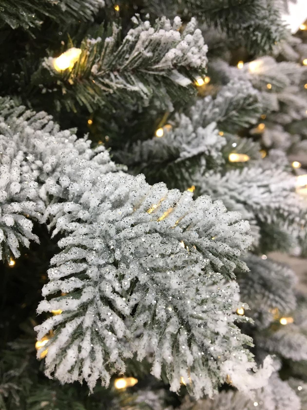 Snowy-Sheffield-Spruce-Hinged-Tree-228cm
