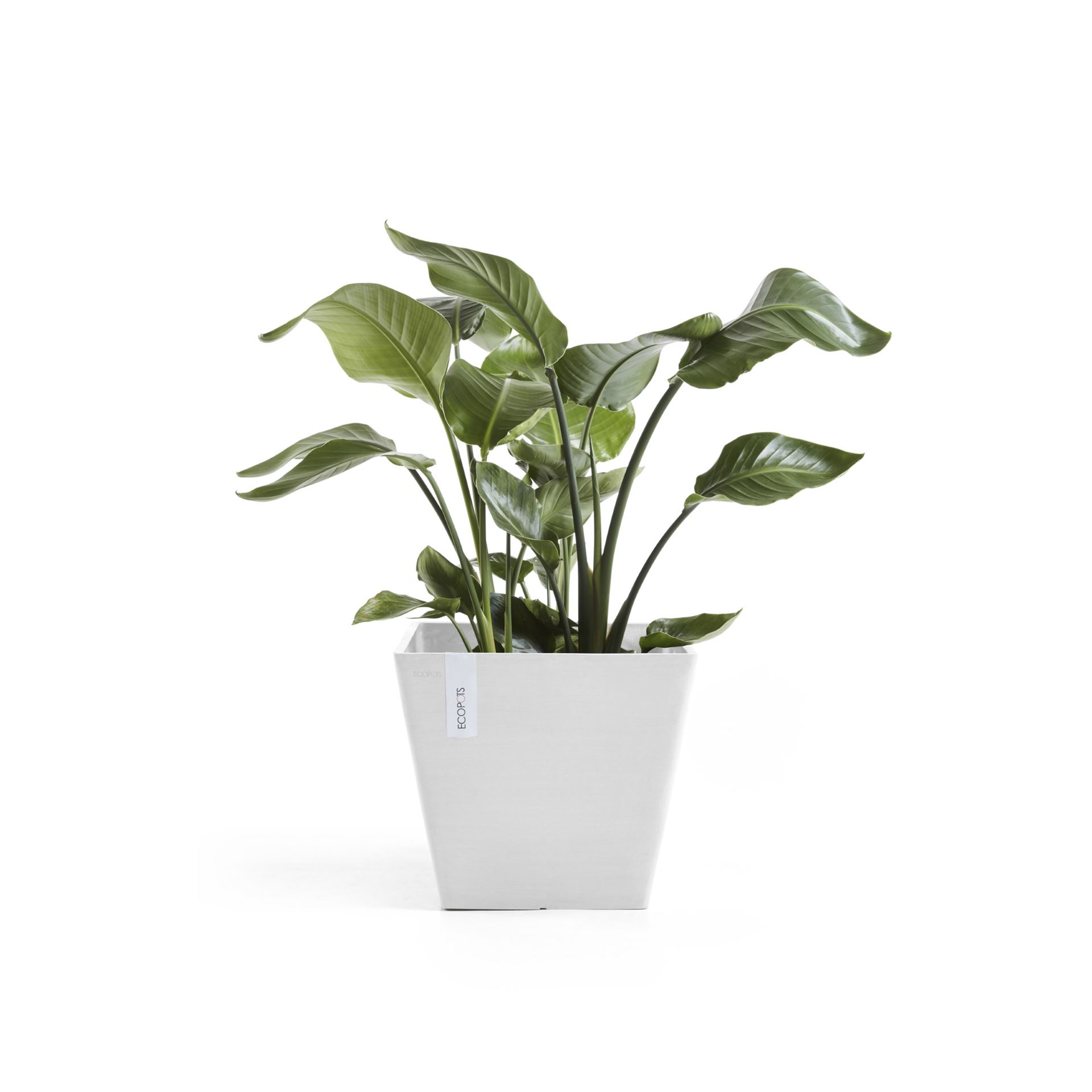 Ecopots-rotterdam-pure-white-LBH-30x30x26-3-cm