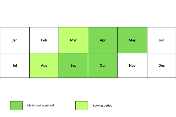 lawn sowing calendar