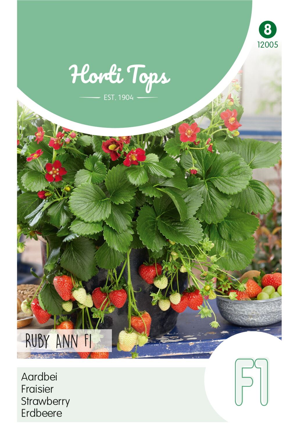 HTS-Aardbeien-Ruby-Ann-F1-hangaardbei-