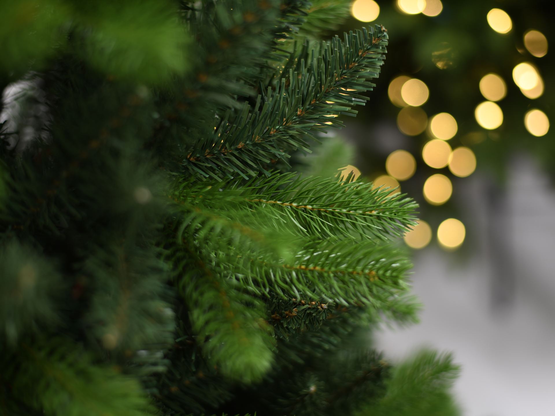 Utah-PE-hinged-Slim-210cm-