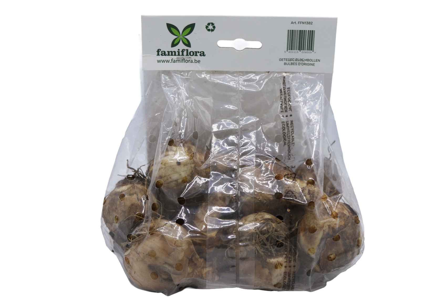 Famiflora Narcissus Replete - 12 bulbes - Taille 12/14 - Bulbes de printemps