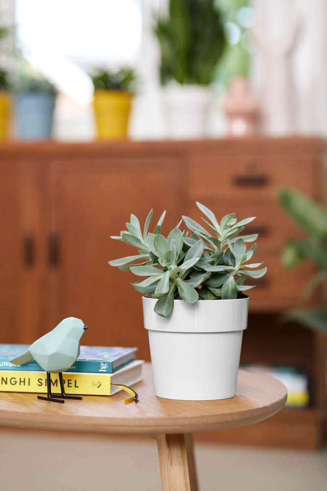 Bloempot-b-for-original-rond-22cm-wit