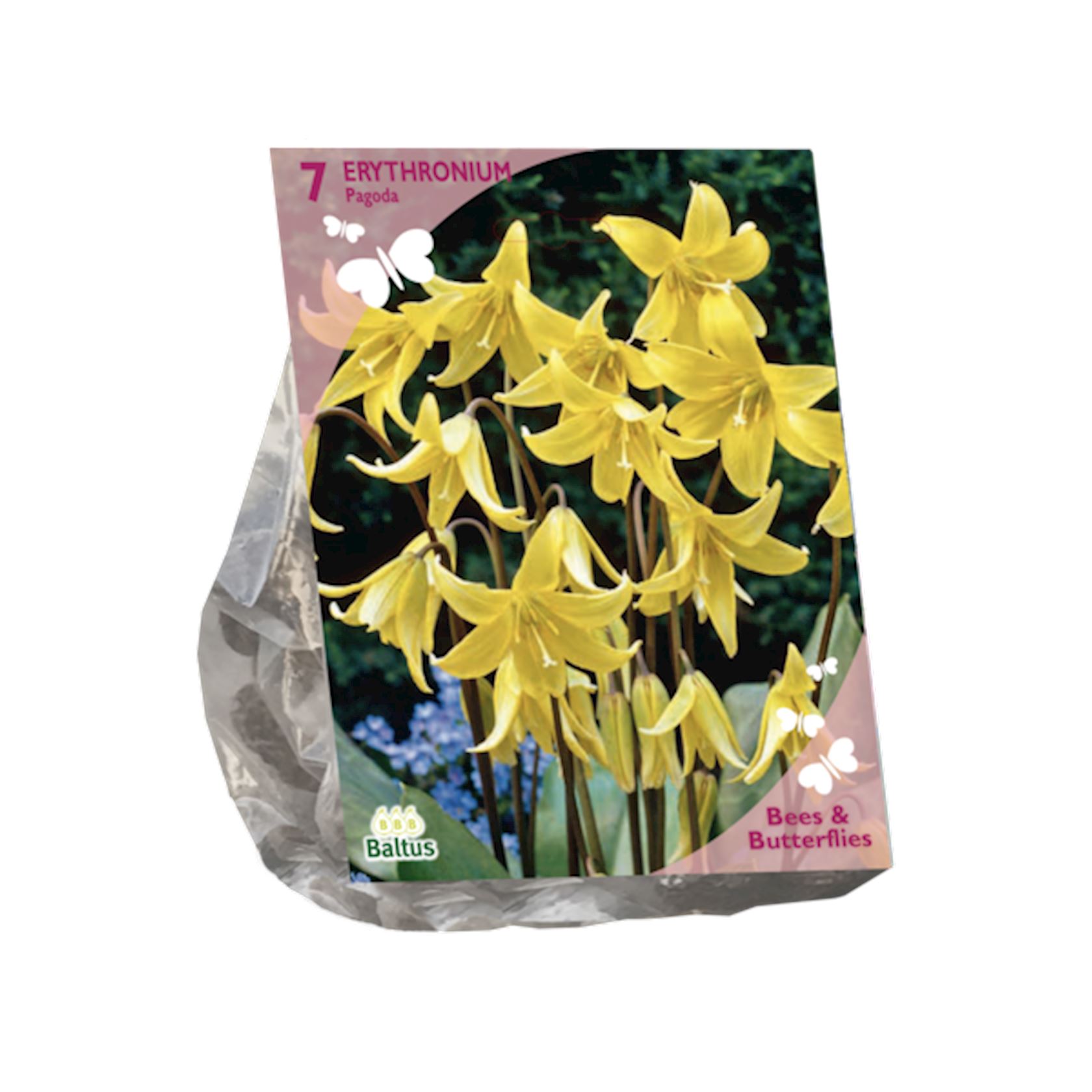bees-butterflies-erythronium-per-7