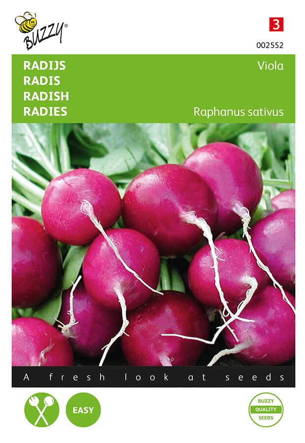 Buzzy-Radijs-Viola