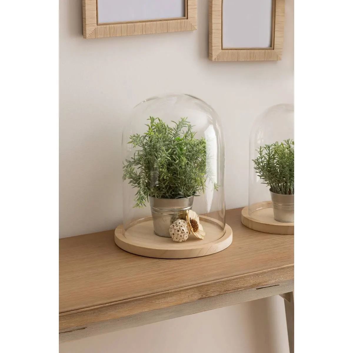 Glazen-stolp-met-houten-basis-H29-5