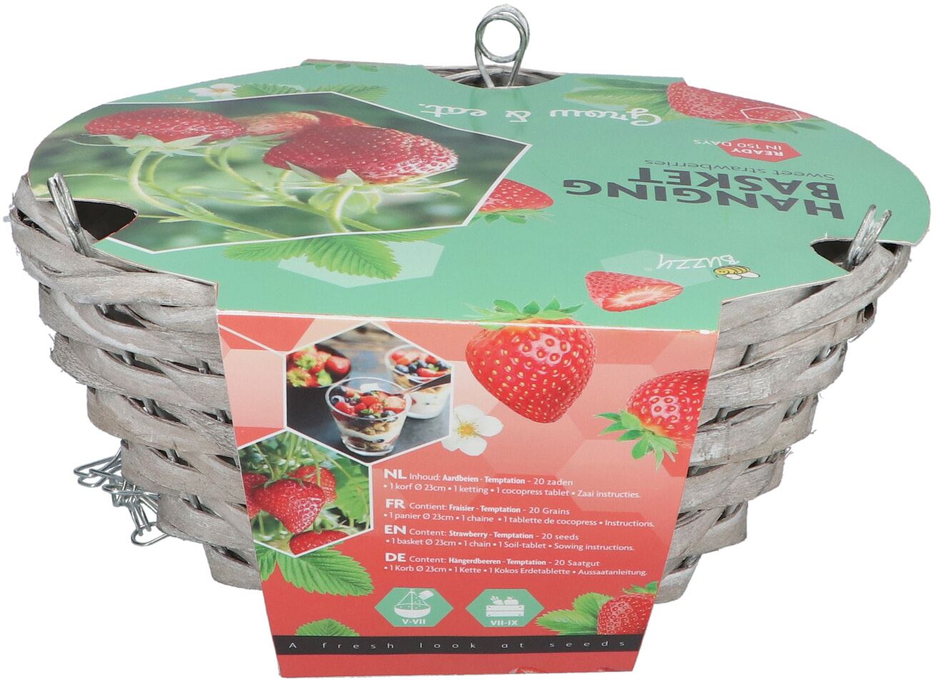 Buzzy-Hanging-Basket-Aardbei-6-