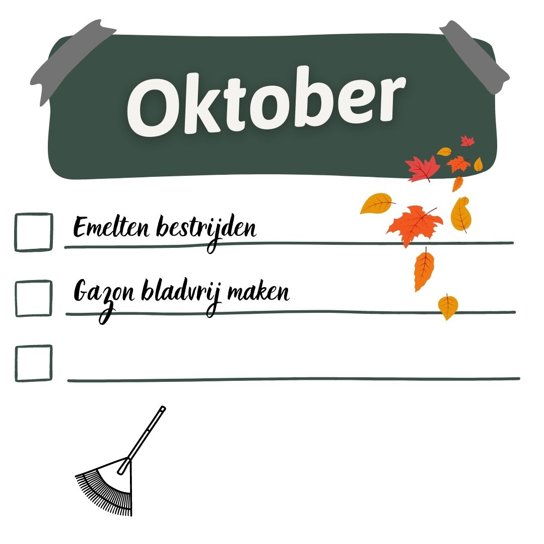 gazonkalender oktober