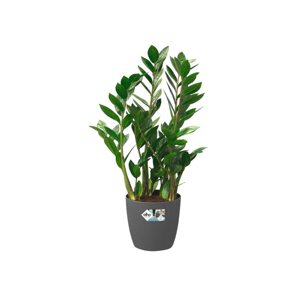 Bloempot-brussels-rond-wielen-47cm-antraciet