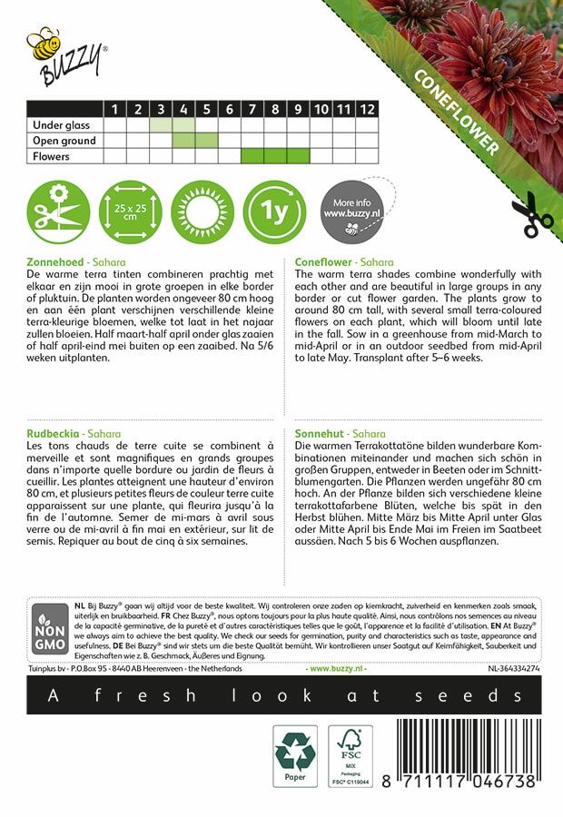 Buzzy-Rudbeckia-Sahara