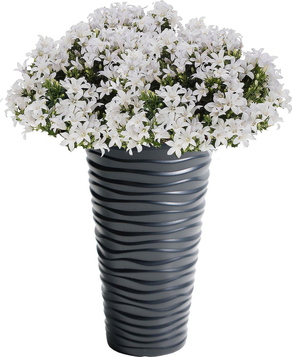 Flower-pot-SAND-SLIM-anthracite-39-x-75-cm