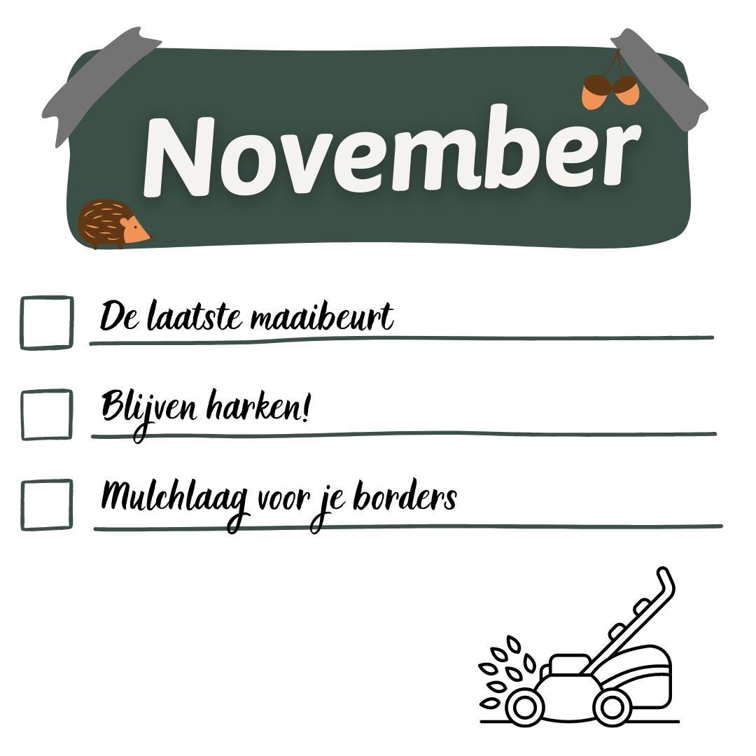 gazonkalender november