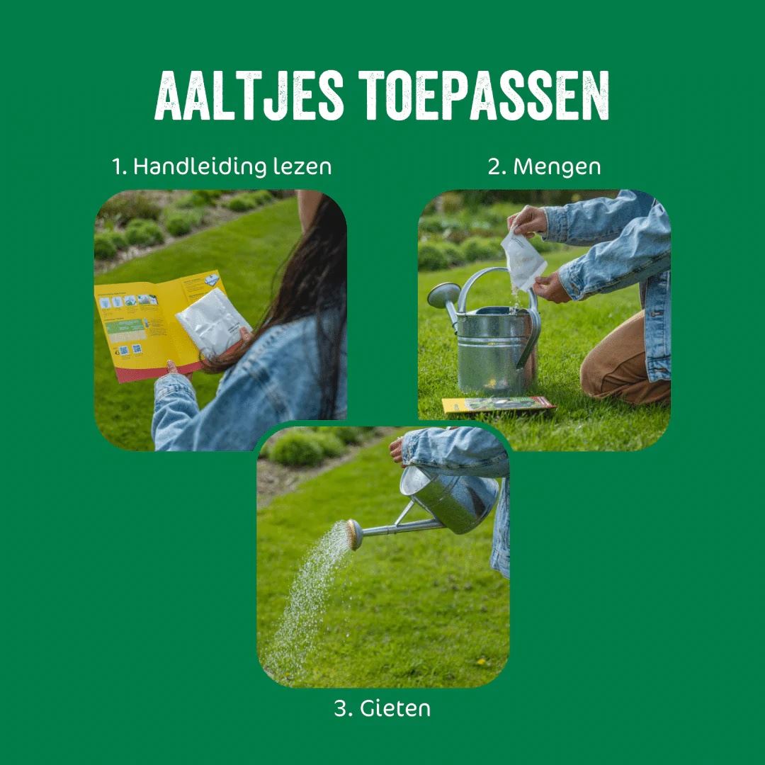 Aaltjes-FC-tegen-larven-wortel-preivlieg-10-mln-60-m2