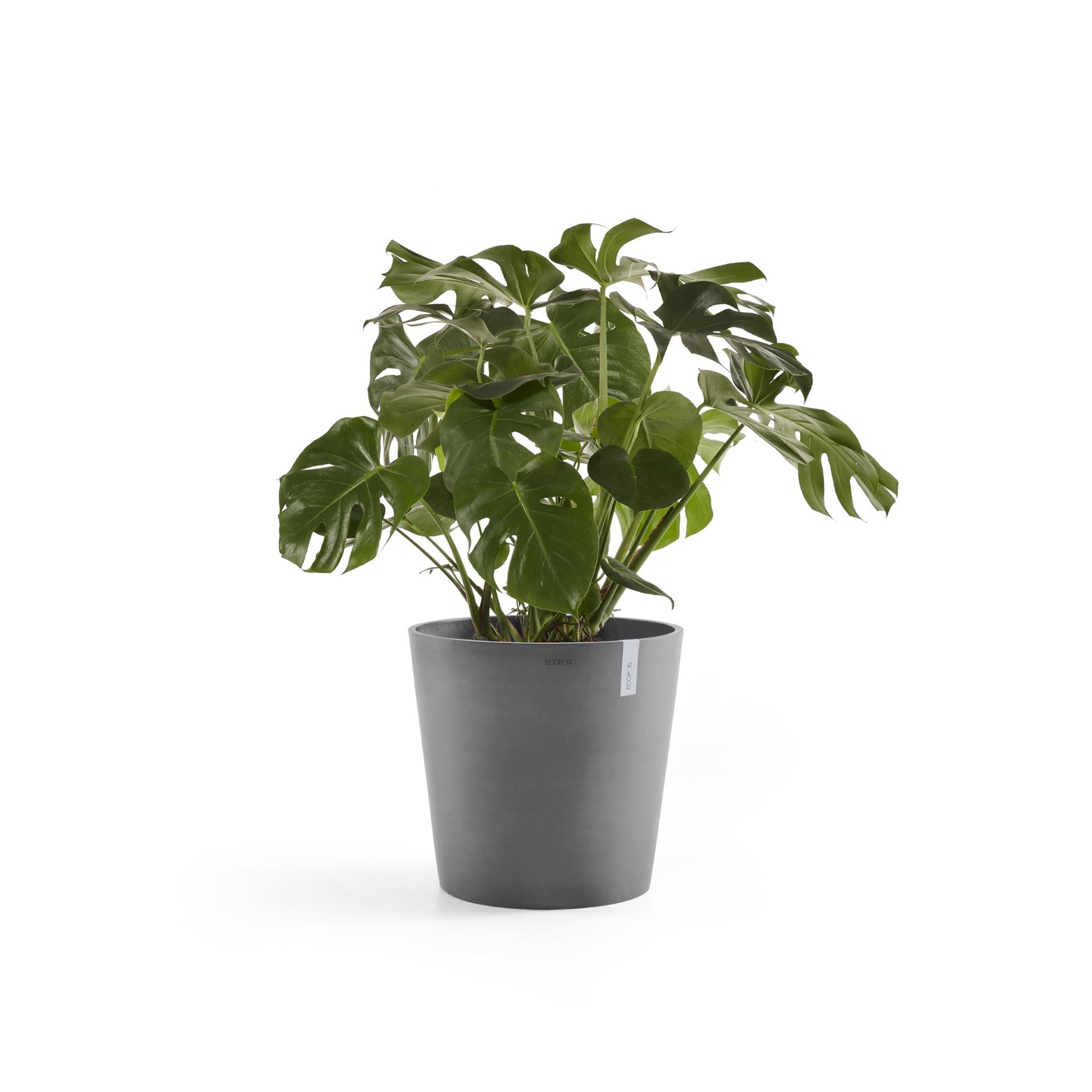 Ecopots-amsterdam-grey-60-cm-H56-cm