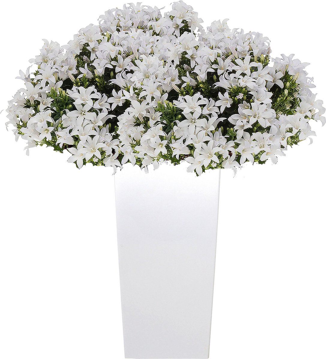 Flower-pot-Urbi-square-white-L32-x-B32-x-H61-cm