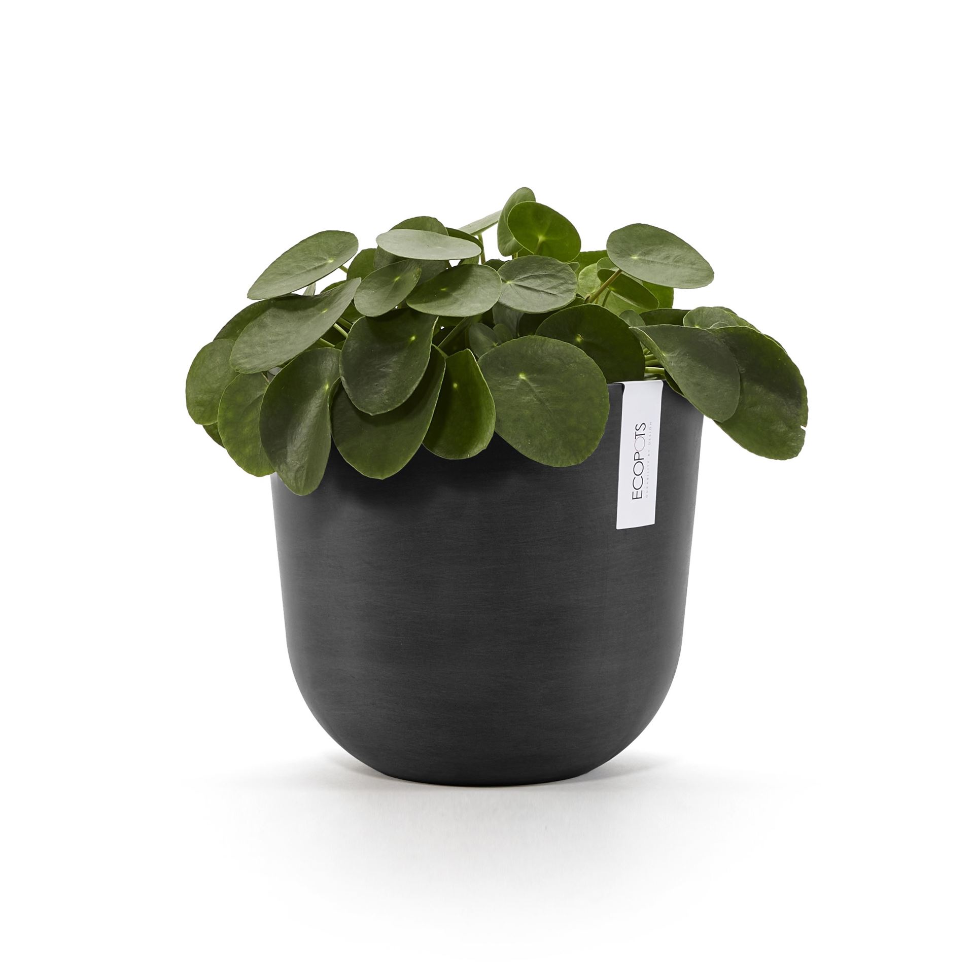 Ecopots-oslo-dark-grey-25-cm-H21-8-cm