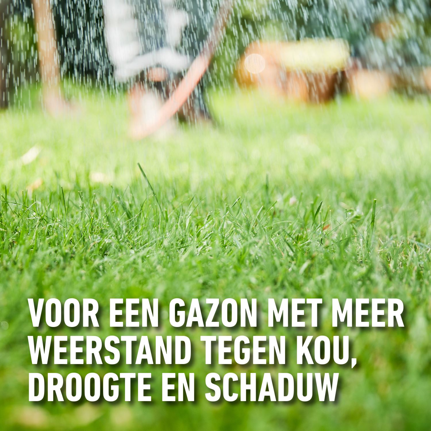 Compo-complete-mix-4-in-1-20-m-4kg