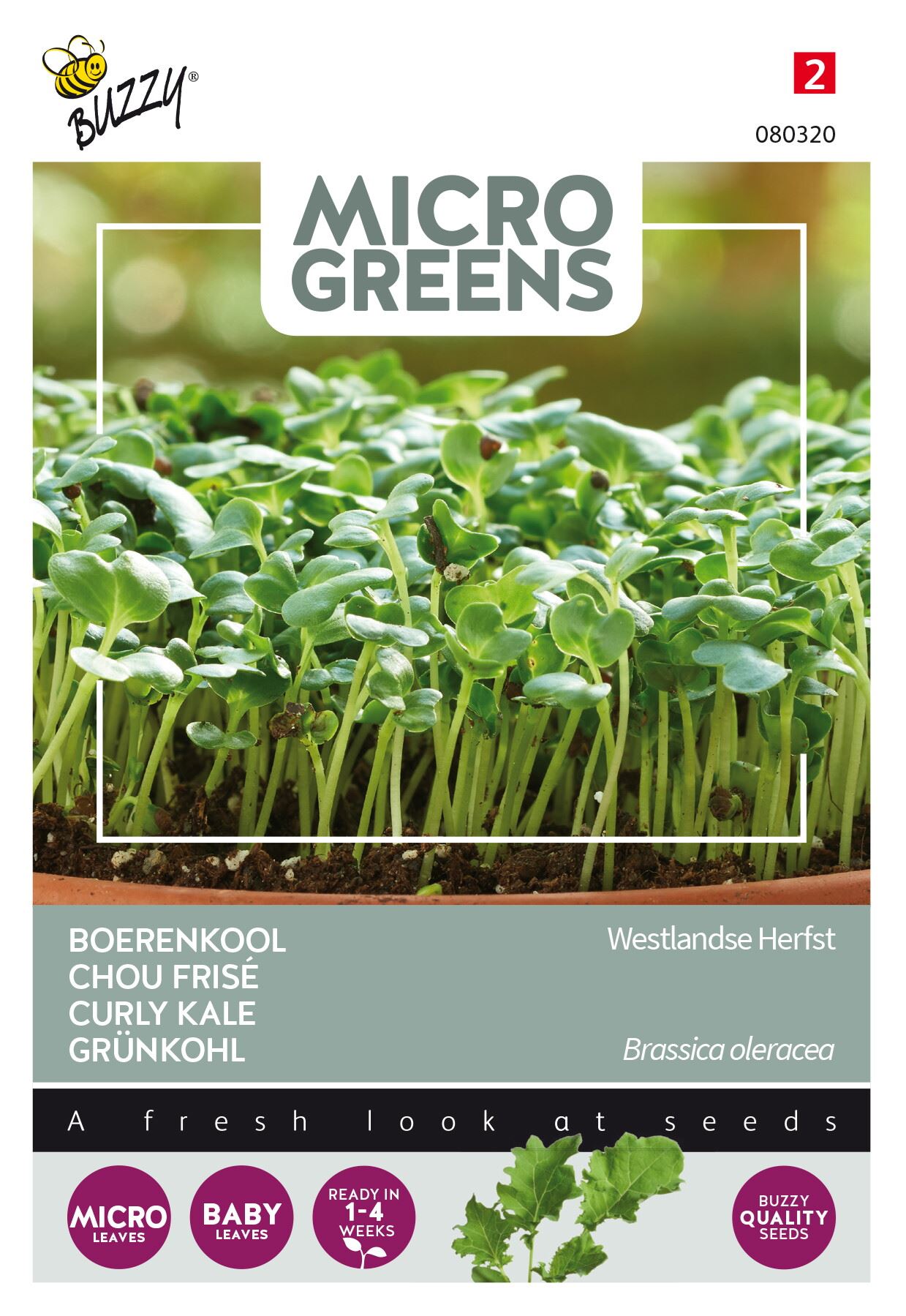 Buzzy-Microgreens-Boerenkool