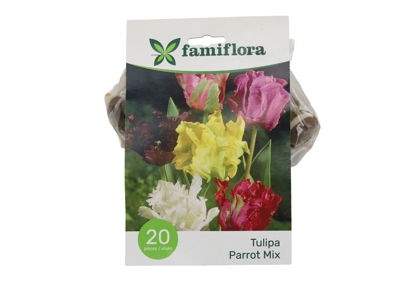 Famiflora Tulipe Parkiet Mix - Voorjaarsbloeiers - 20 bloembollen
