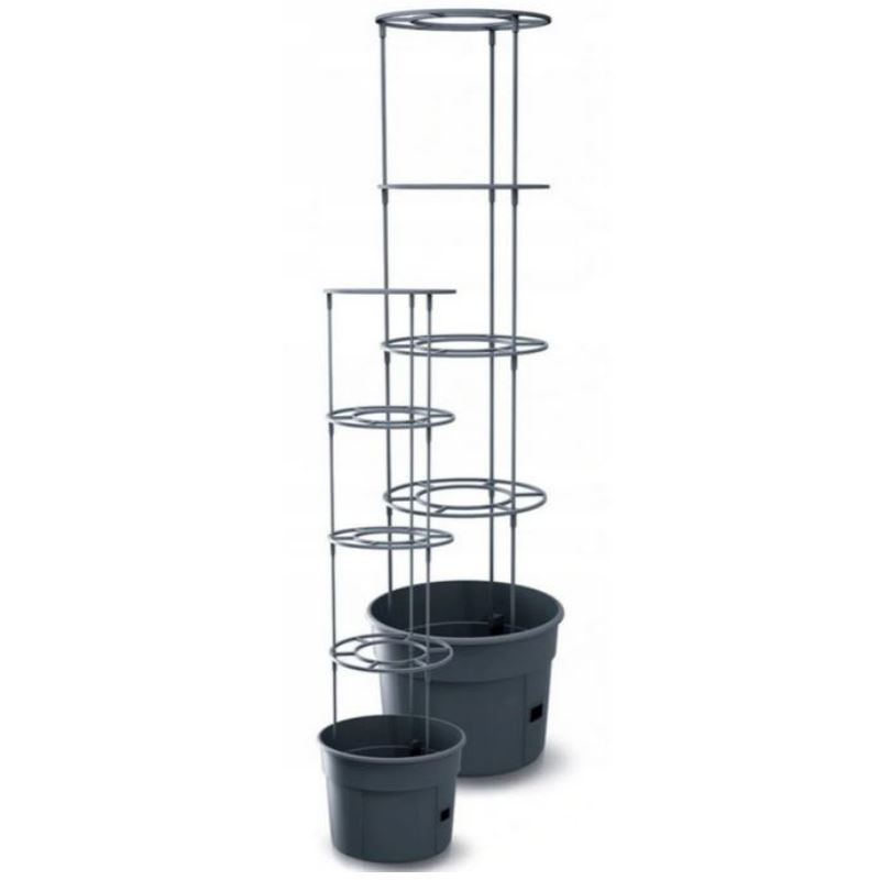 Prosperplast Tomato Grower - 50 x 42 cm - Voor het kweken van tomaten - Inclusief tomaten plantsteunen