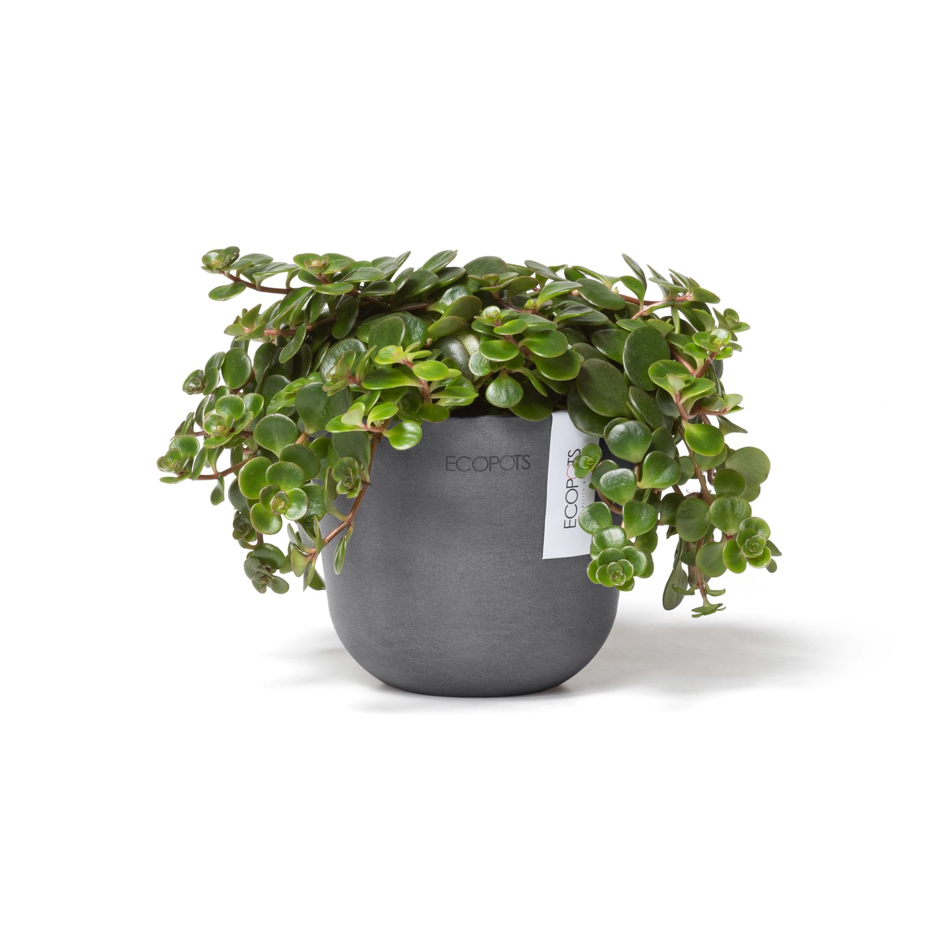 Ecopots-oslo-mini-grey-11-5-cm-H10-cm