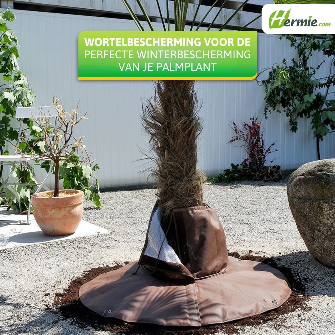 Palm-wortel-bescherming