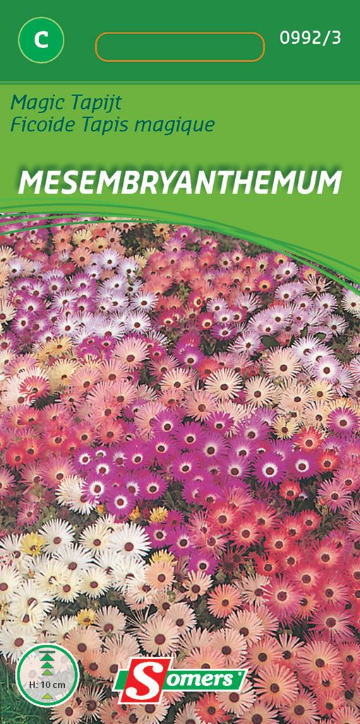 mesembrianthemum-kristalplant