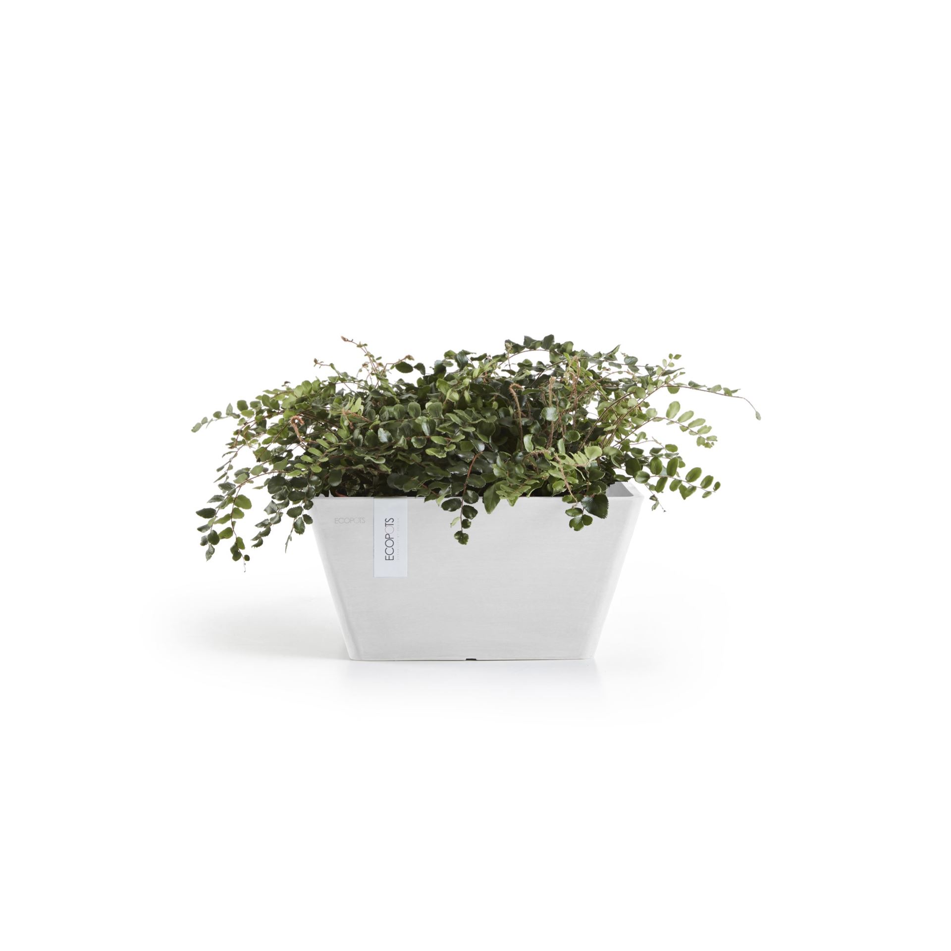 ecopots-Berlin-Pure-White-LBH-31x31x15-5-cm