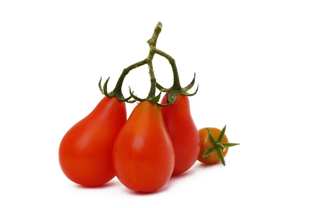 Plantenfiche-Lycopersicon-esculentum-l-var-red-pear-Tomaat-cherry-peervormig-
