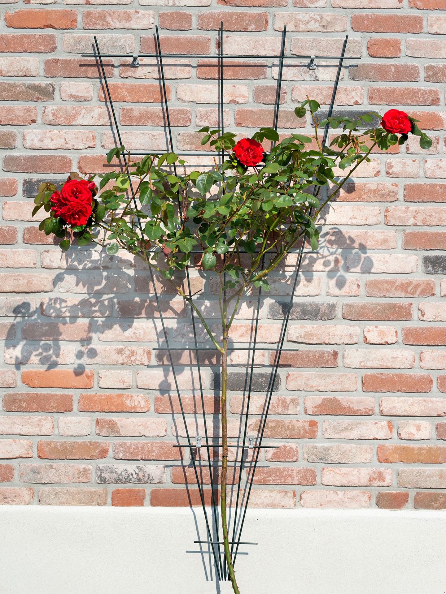 Metalen-klimrek-gegalvaniseerd-V-vorm-H145x5-75cm
