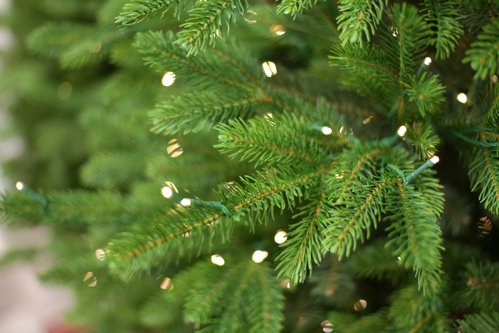 Helsinki-metal-base-h427cm-2400L-PTP-4-boxes