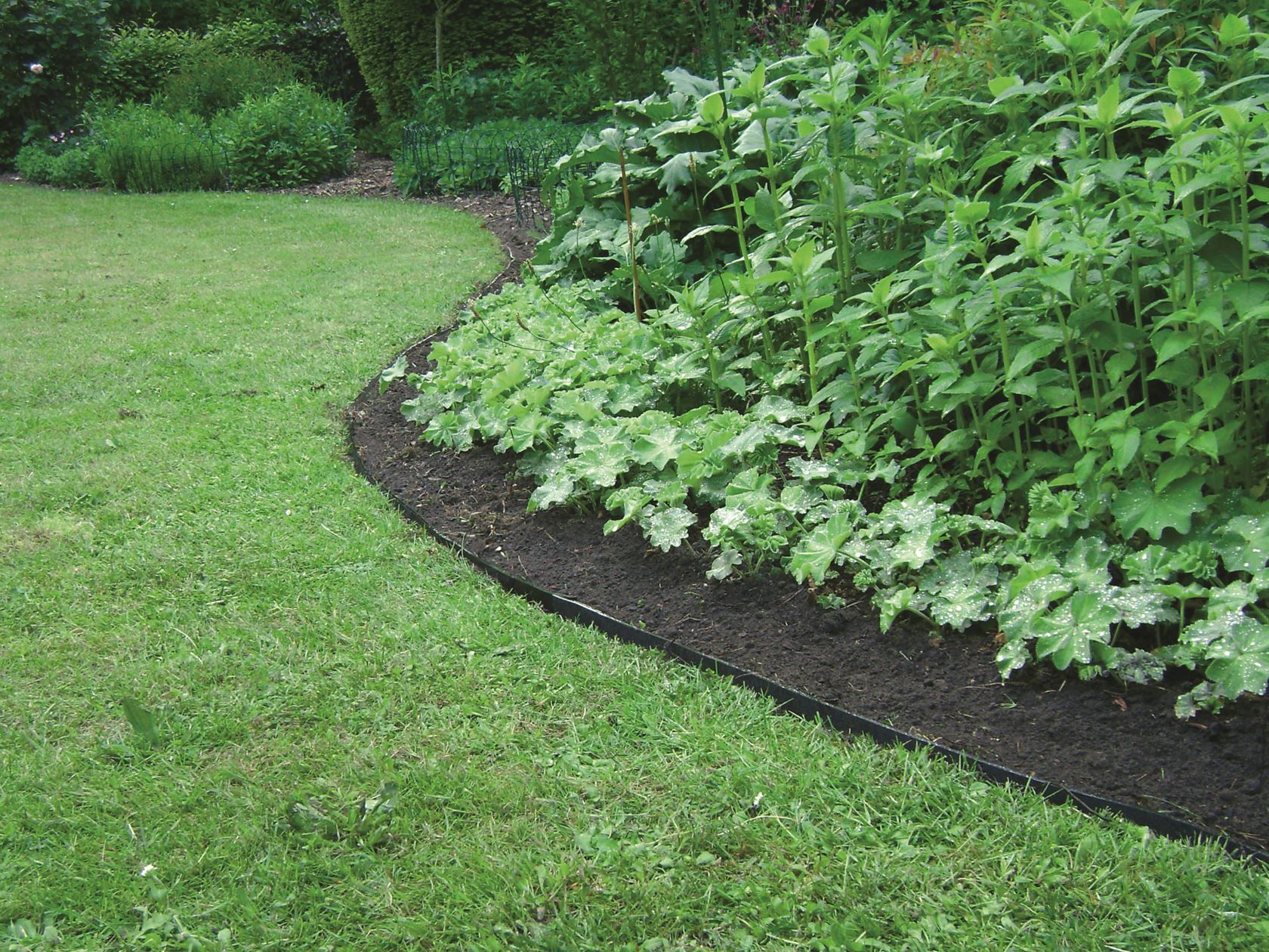 Ecorub flexibele afboording - hoogte van 10 cm - lengte van 15 meter