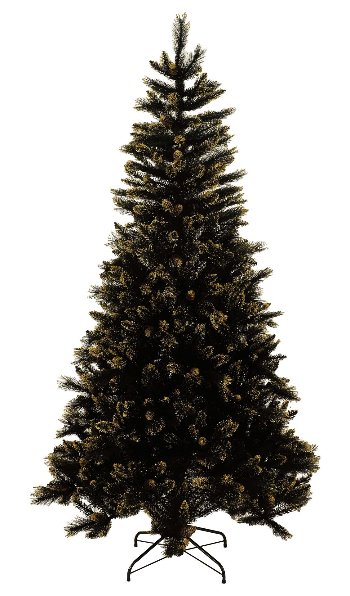 Shimmery-Golden-Black-Bristle-h213cm