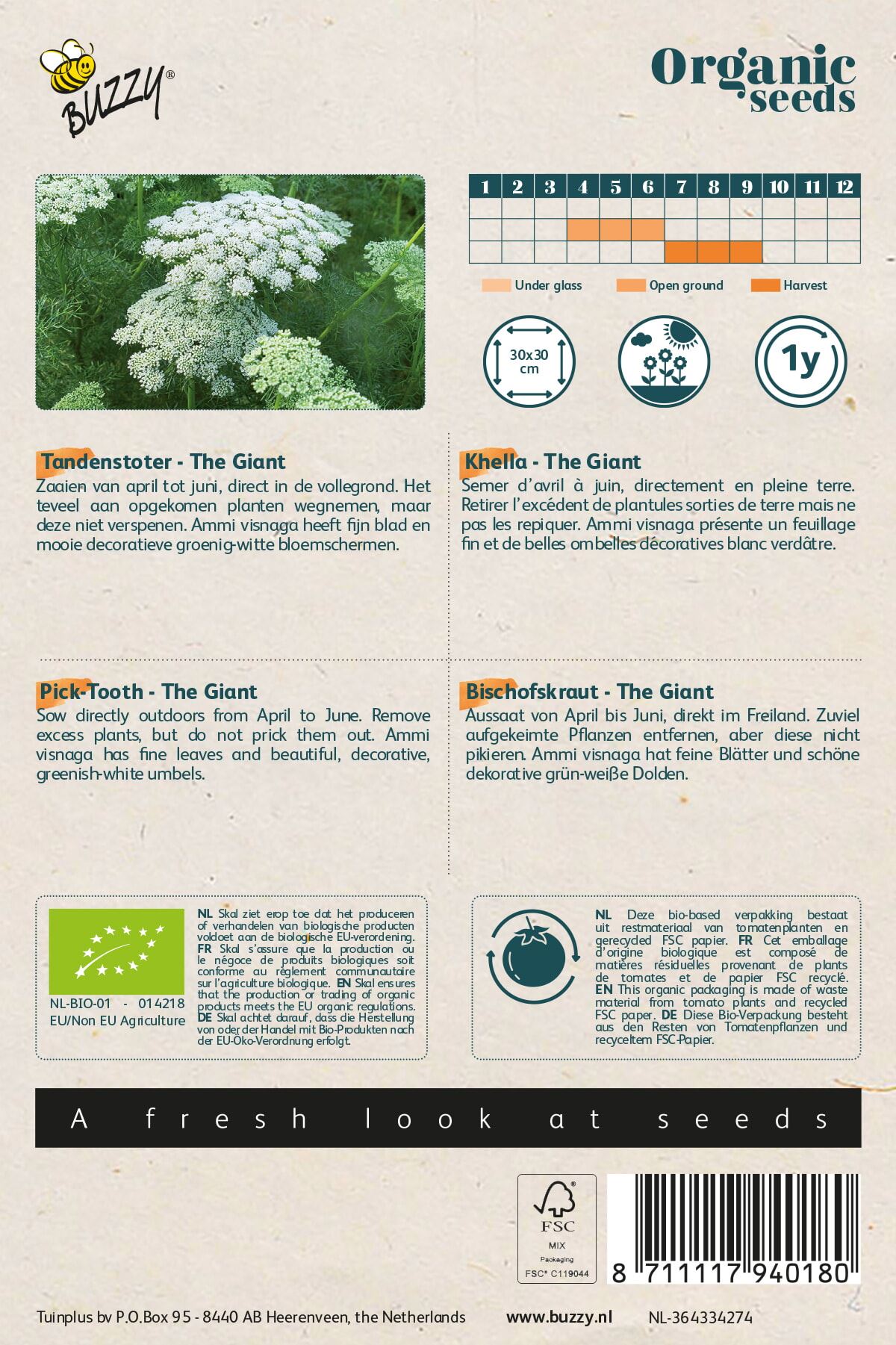 Buzzy-Organic-Tandenstoker-Ammi-Visnagia-The-Giant-BIO