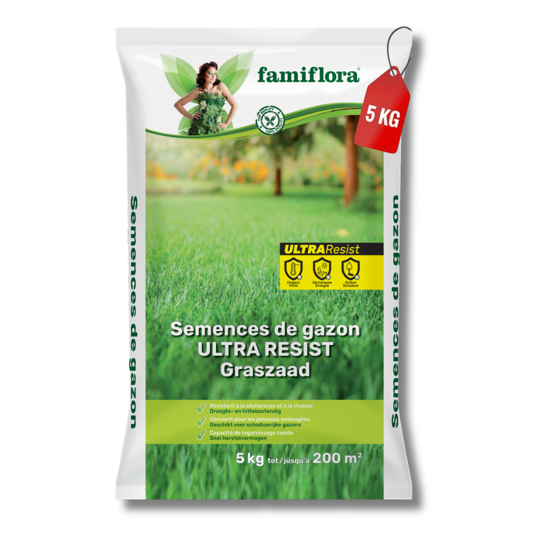 Famiflora grass seed 5kg up to 200m² - Ultra Resist - all-rounder